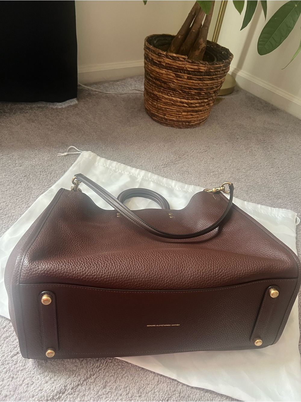 Coach 1941 Maple Rogue 39 - Picture 2 of 8